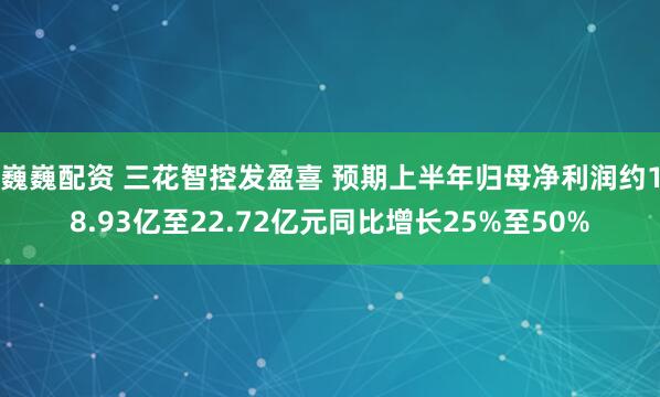 巍巍配资 三花智控发盈喜 预期上半年归母净利润约18.93亿至22.72亿元同比增长25%至50%