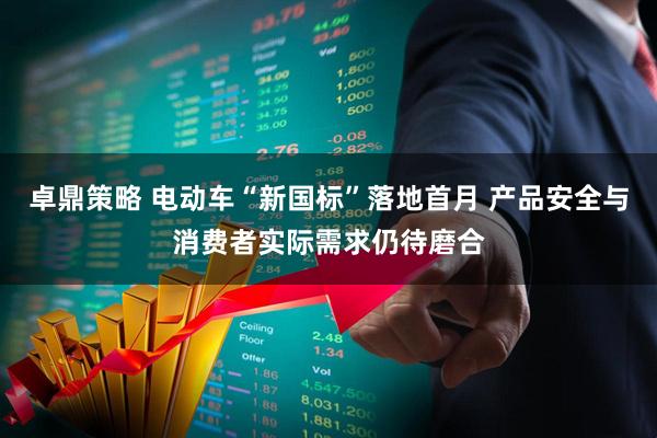 卓鼎策略 电动车“新国标”落地首月 产品安全与消费者实际需求仍待磨合